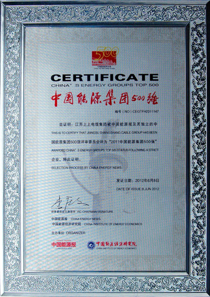 չ̫ųڵ¼ٻ2011ꡰйԴ500ǿ